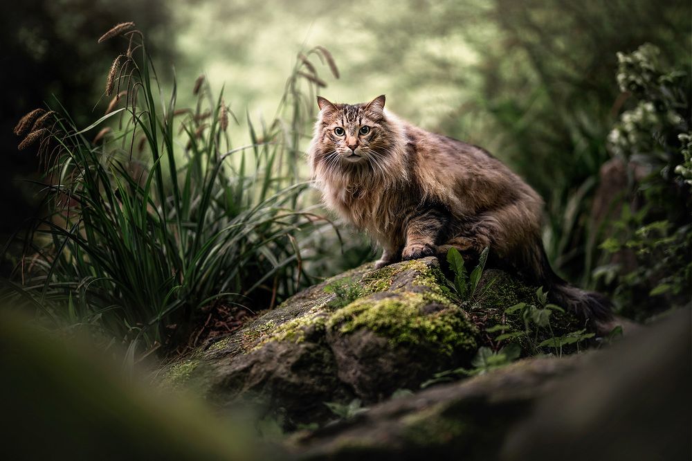 Photograph by Fleur Scholte