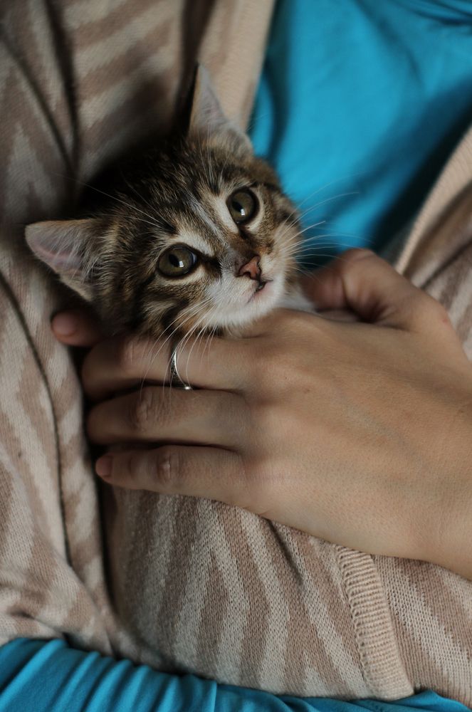 Photograph by Полина Ефимова