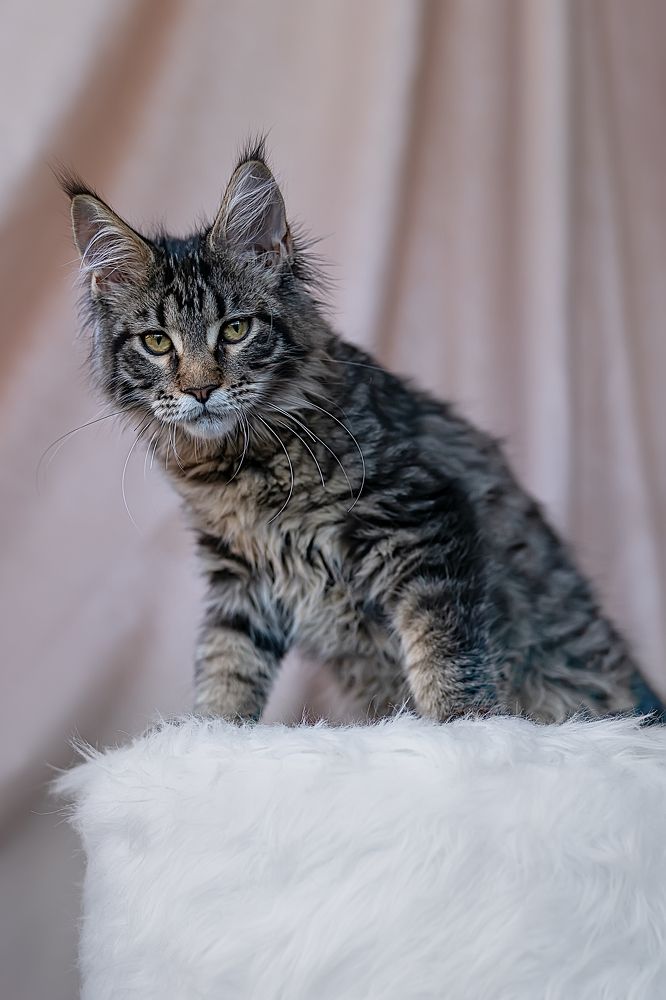 Photograph by Екатерина Золотых