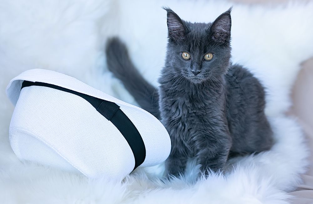 Photograph by Екатерина Золотых