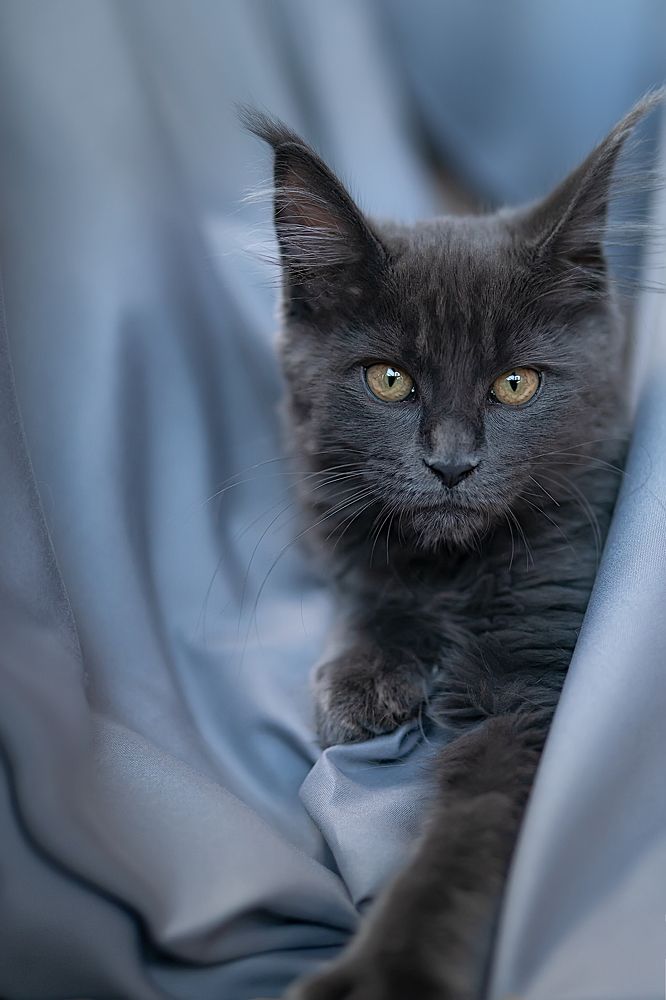 Photograph by Екатерина Золотых