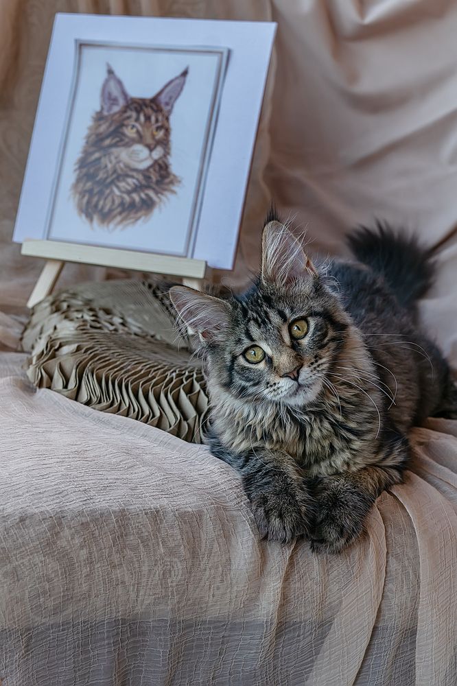 Photograph by Екатерина Золотых