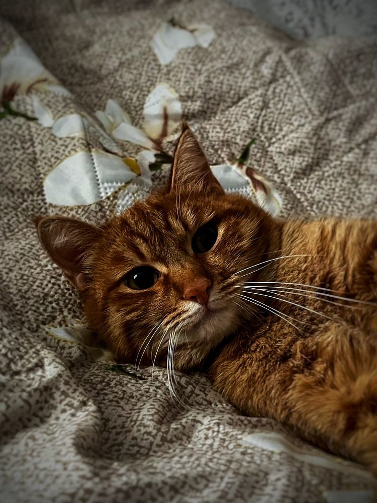 Photograph by Алексей Евтушенко