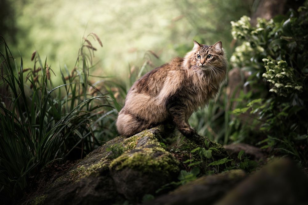 Photograph by Fleur Scholte