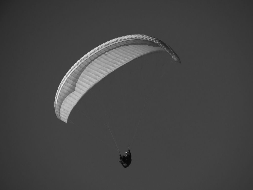 Фотография автора reza ahmadi