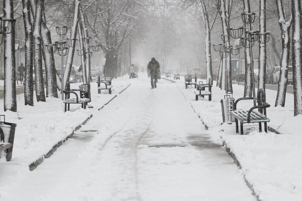 Photograph by Евгения Емельянова