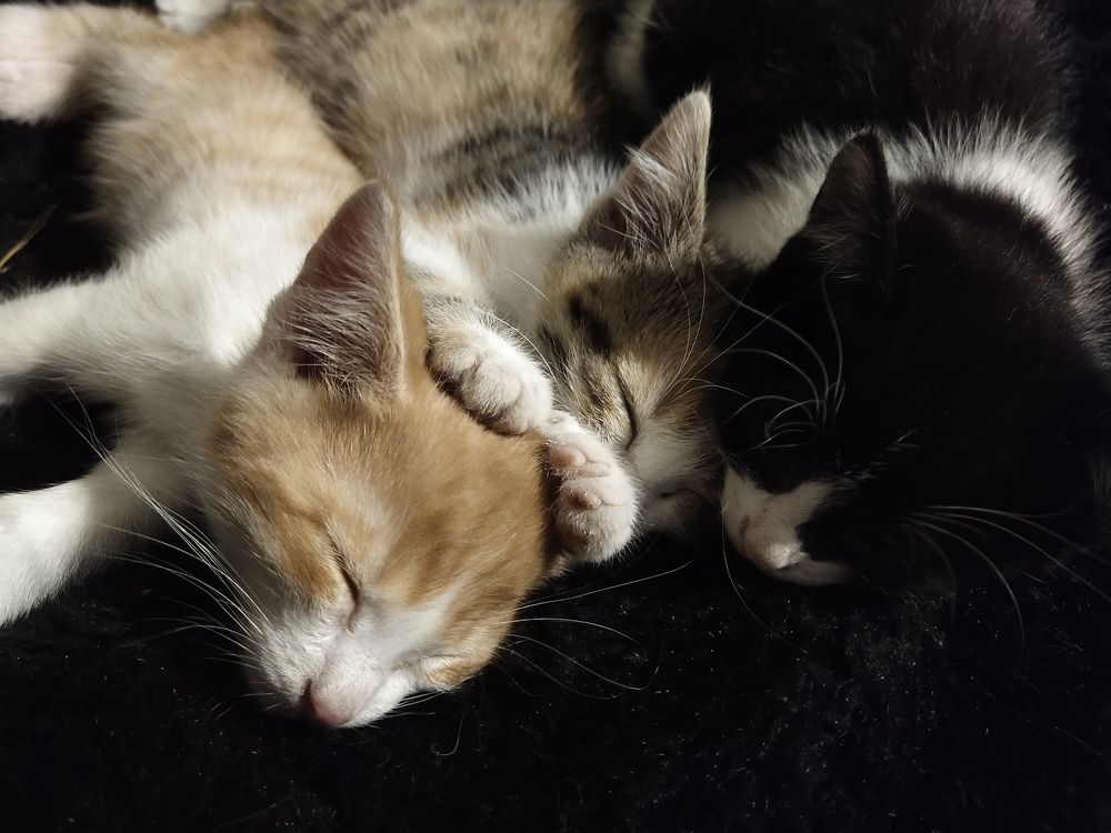 Photograph by Александра Лукашевич