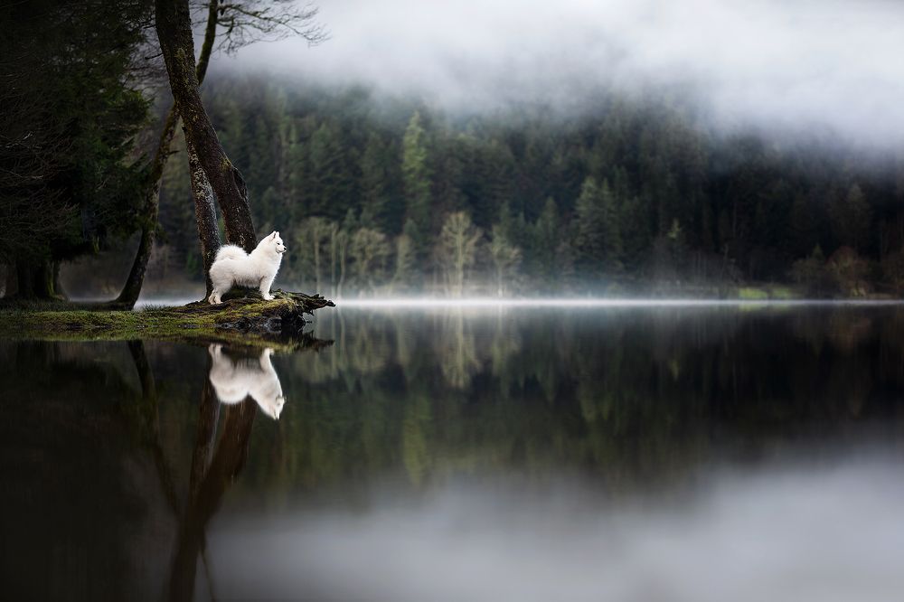 Photograph by Fleur Scholte