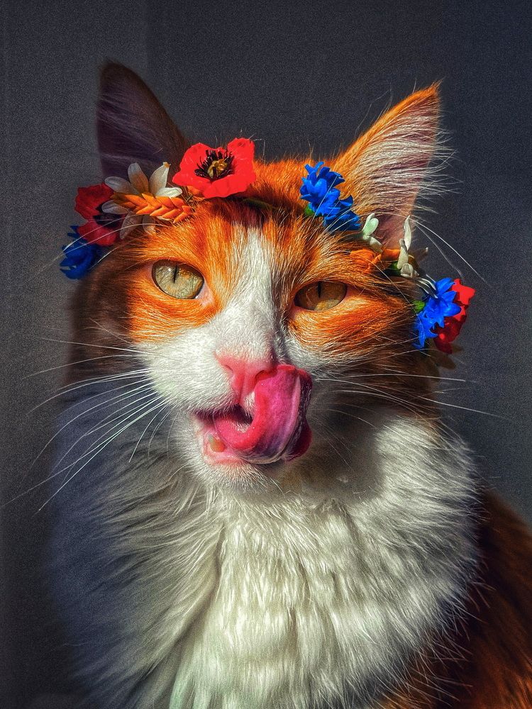 Photograph by Yuliya Altunyuva