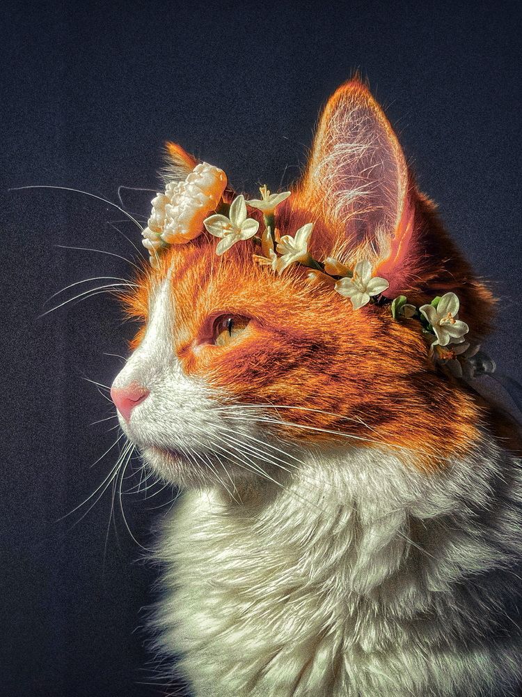 Photograph by Yuliya Altunyuva