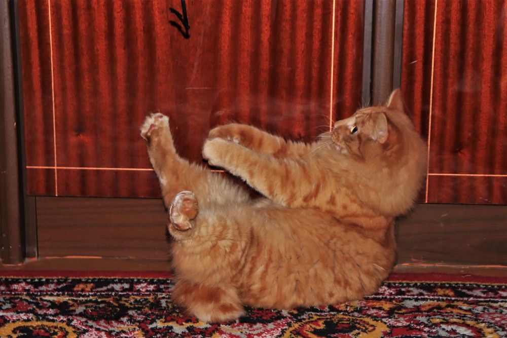 Photograph by Федоренко Элеонора