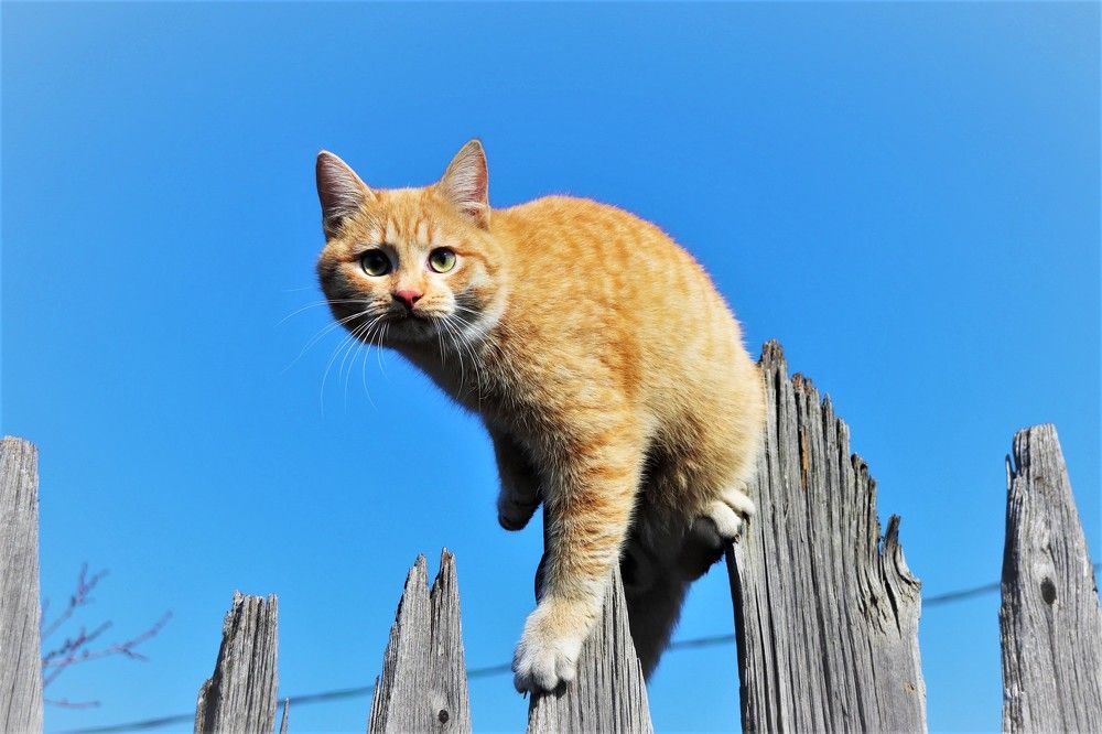 Photograph by Федоренко Элеонора