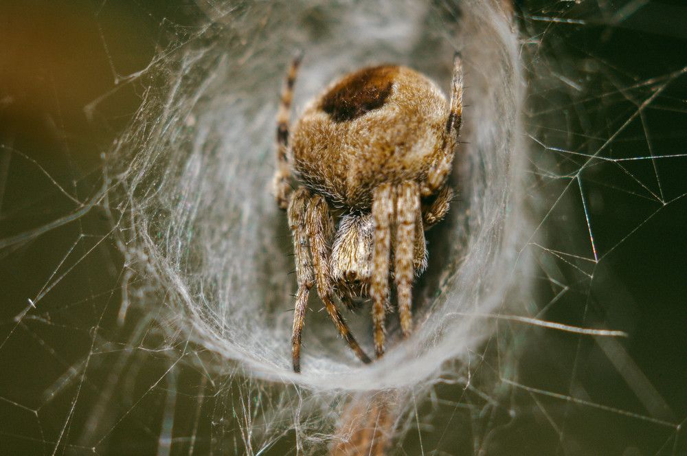 Photograph by Софья Лученкова