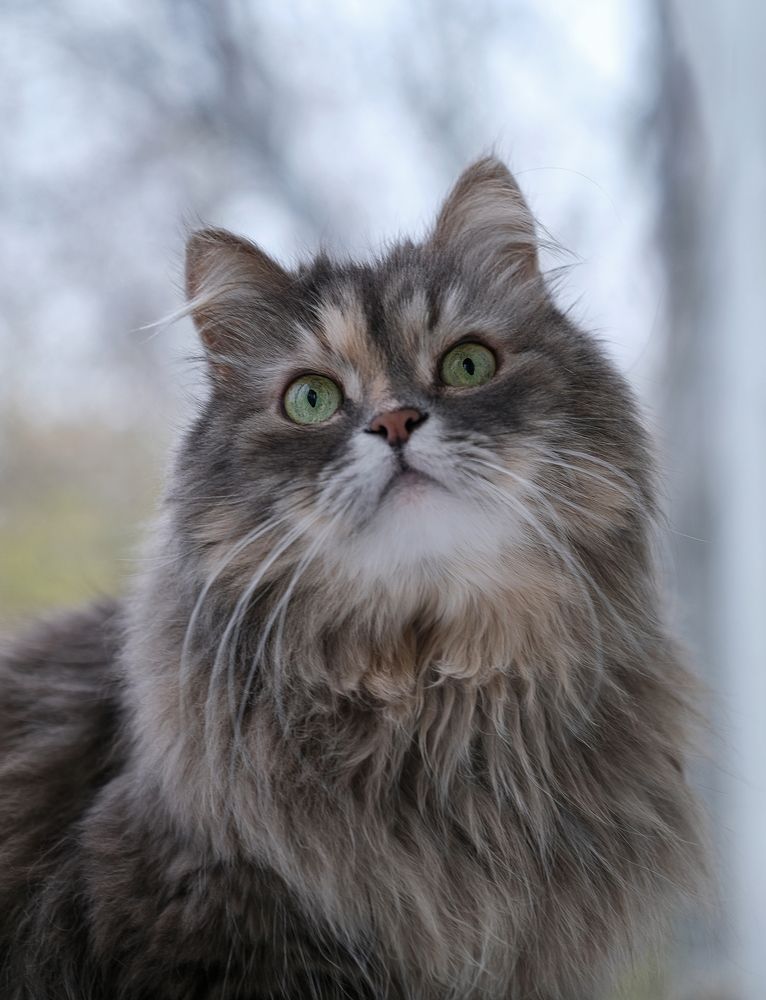 Photograph by Михеева Светлана