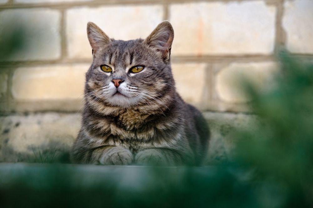 Photograph by Сергей Кравченко