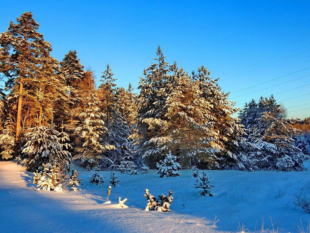 Photograph by Николай Николаевич Леухин