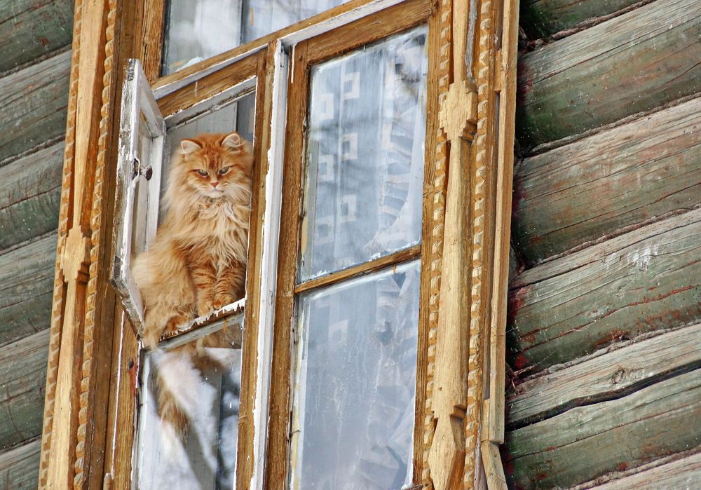 Photograph by Евгений Жиляев