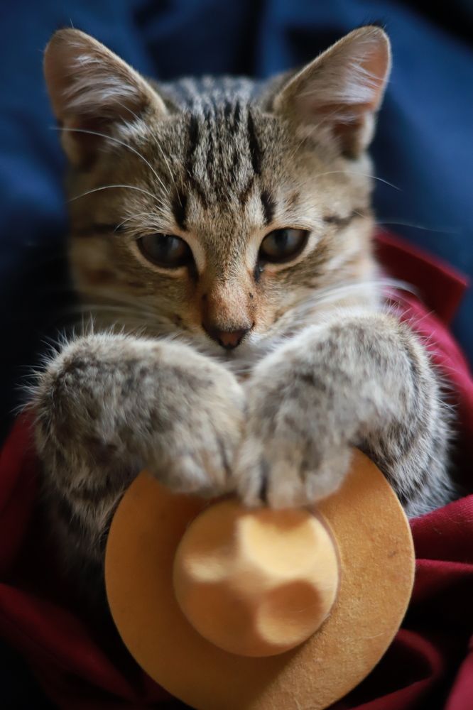 Photograph by Алиса Куличкова