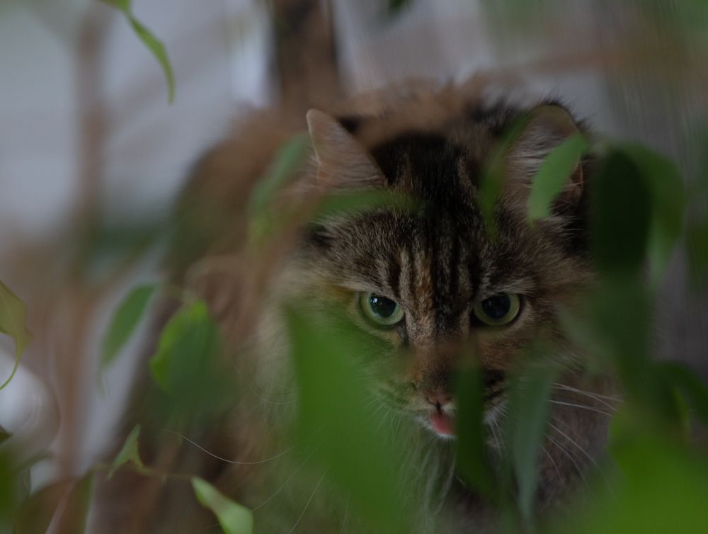 Photograph by Ekaterina Obuchova