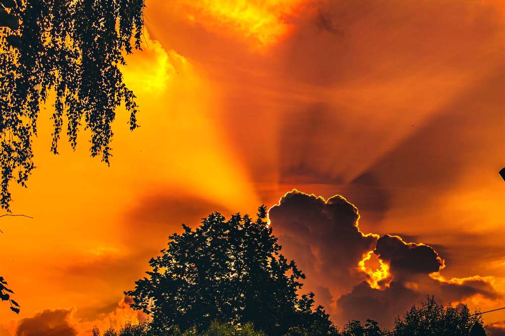 Photograph by Николай Яковлев