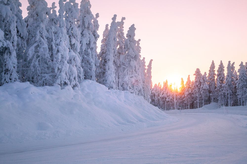Фотография автора Anne Gabrielle Mougin