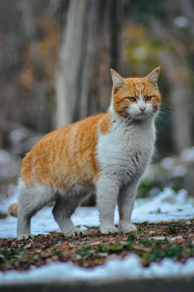 Photograph by mobin the abstract