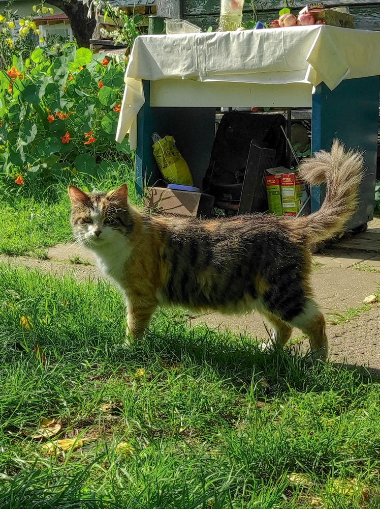 Photograph by Анна Полякова