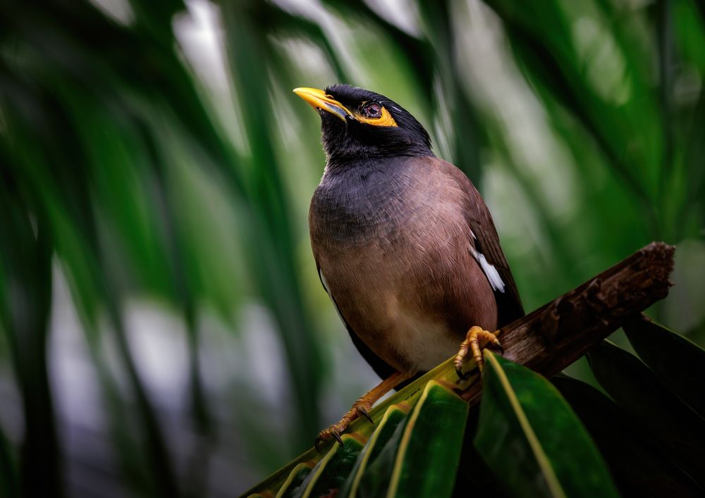 Photograph by Armen  Maitesian