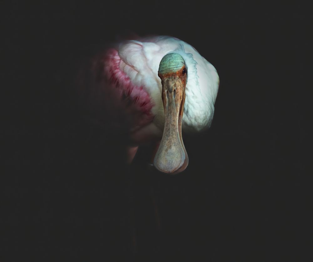 Photograph by Armen  Maitesian