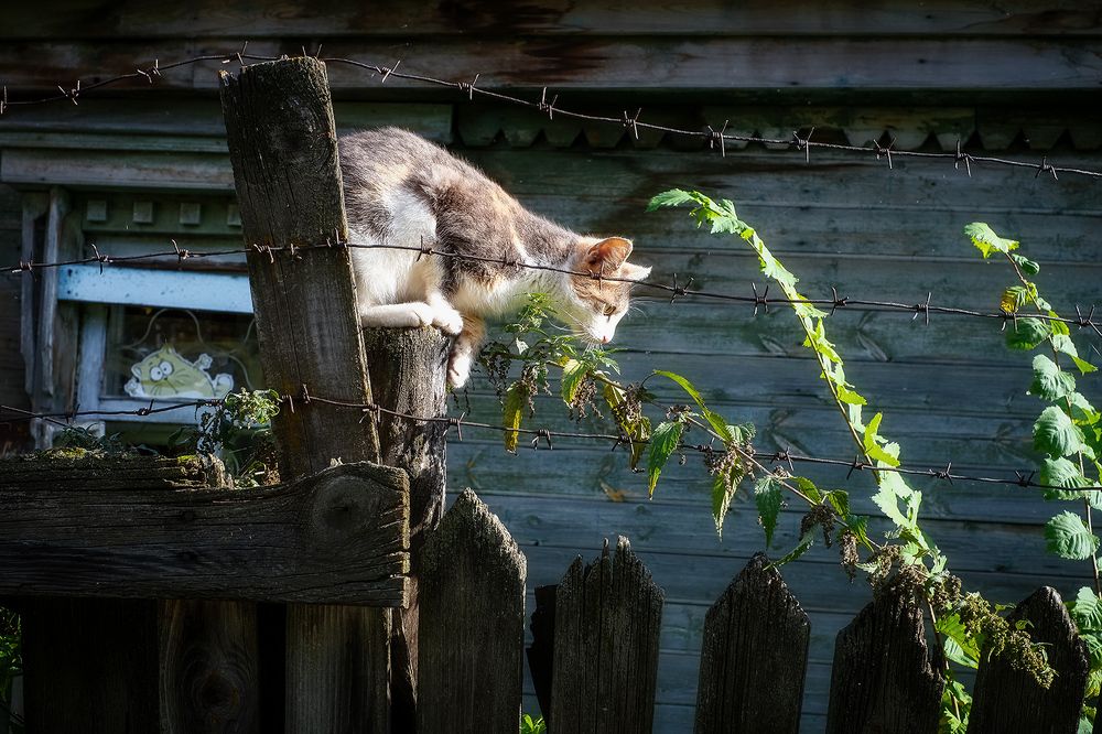 Photograph by Владислав Никишин
