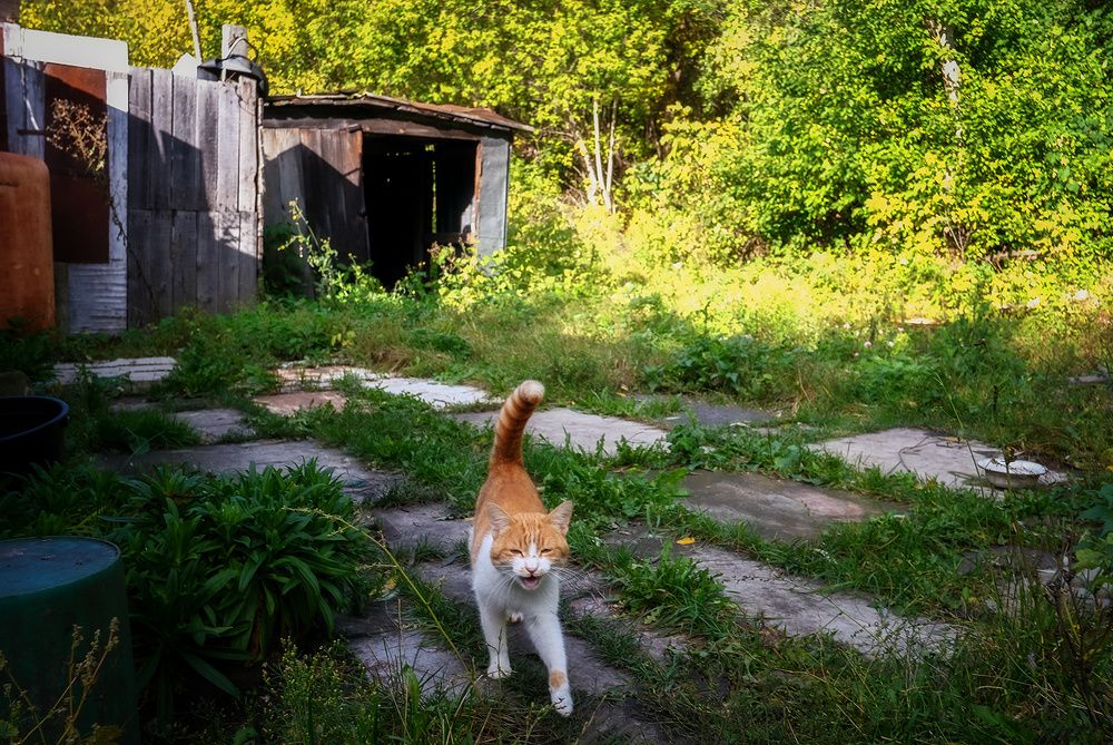 Photograph by Владислав Никишин