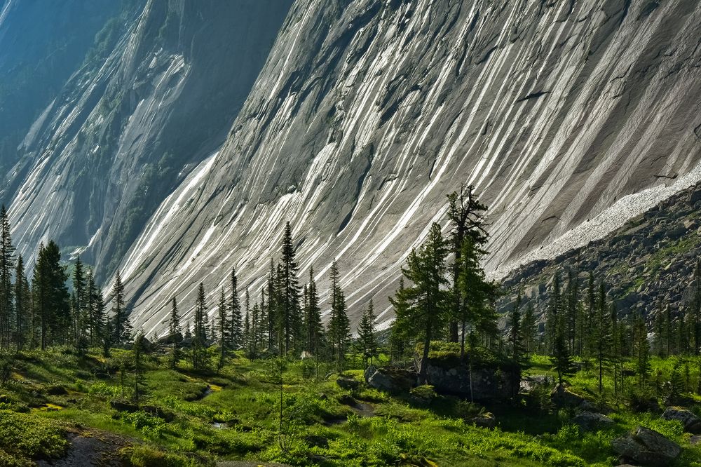 Ергаки Тайгишонок