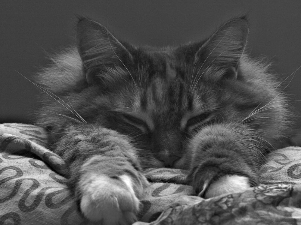 Photograph by Сергей Рябов