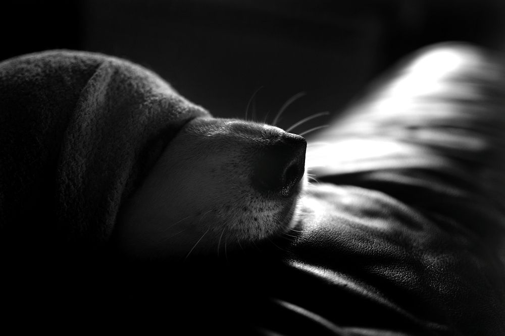 Пахнет весной, но это обман.