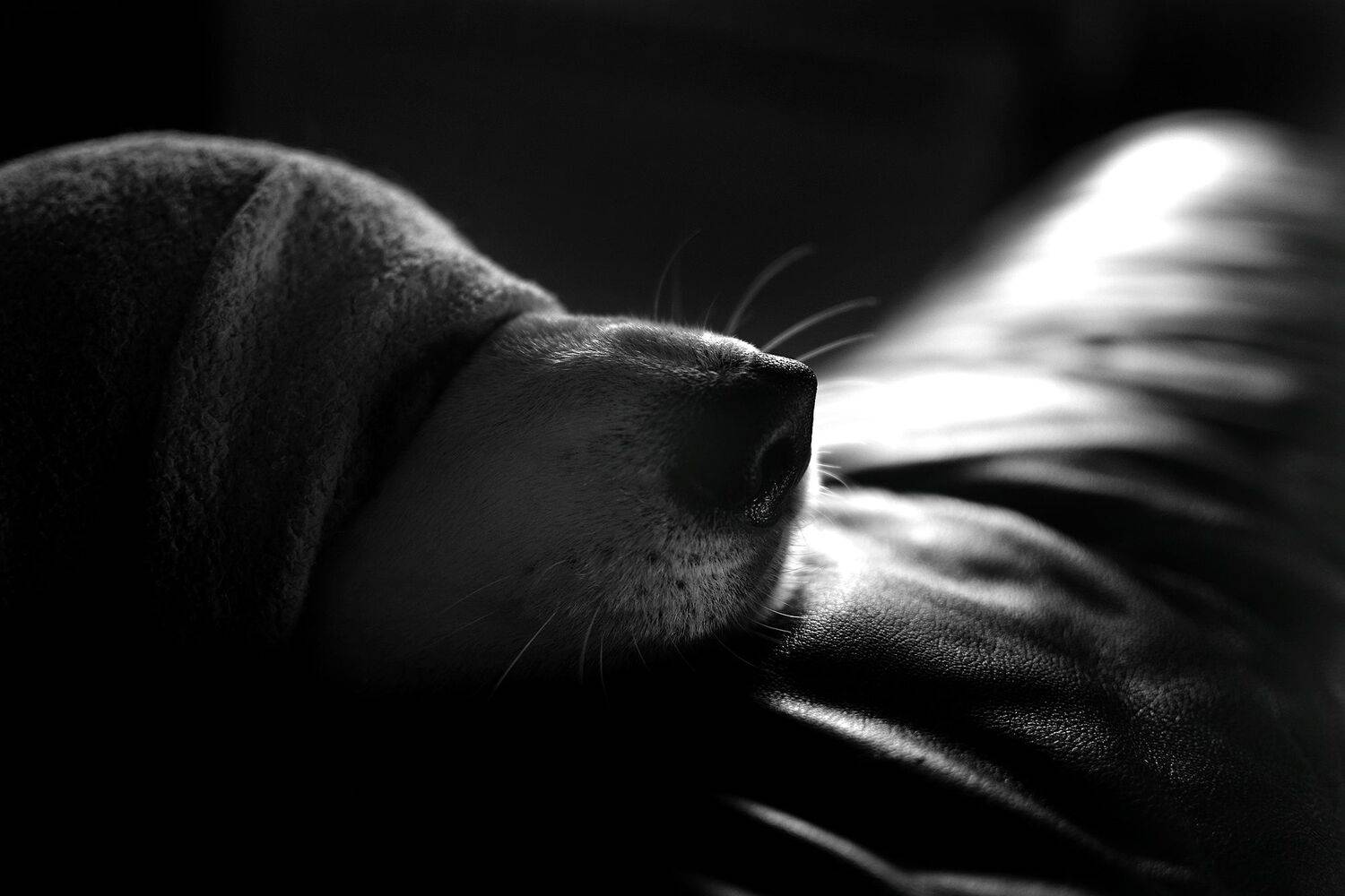 Пахнет весной, но это обман.