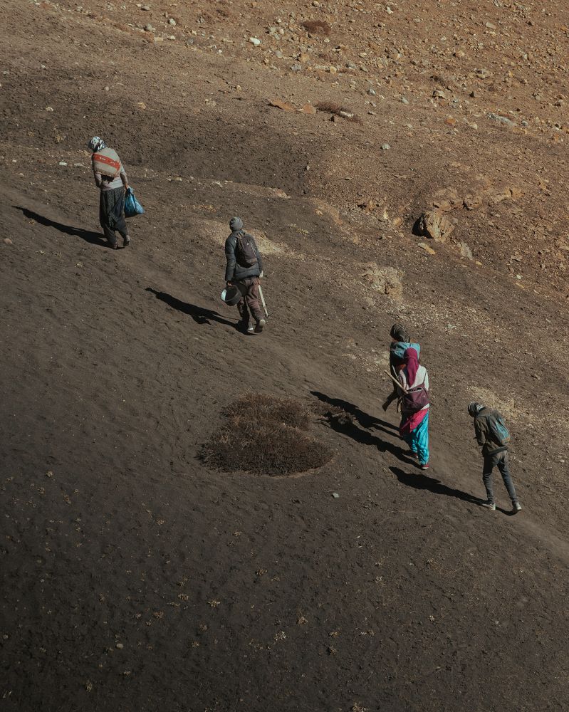 The Way of the Cold Desert