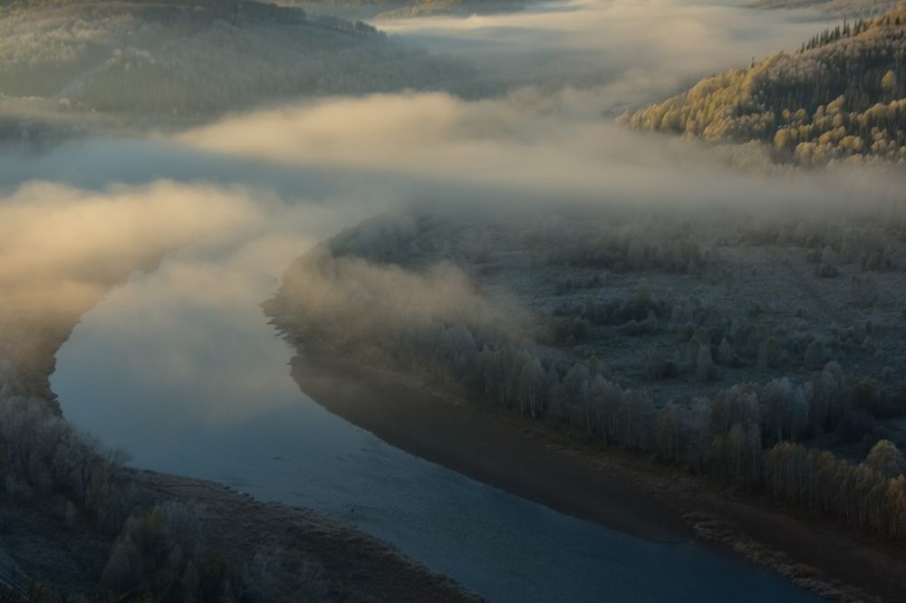 Лес и река в тумане