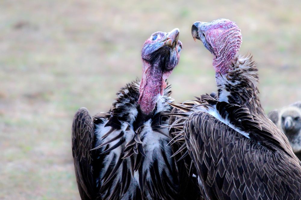 Photograph by Ramki Ramesh