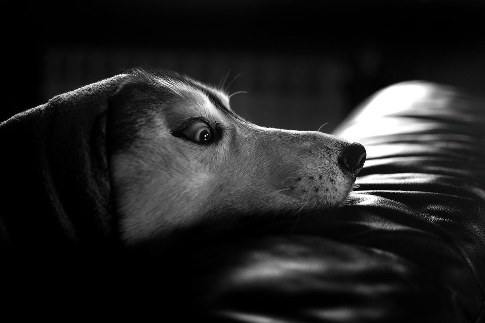 Не выходи из комнаты. Не вылезай из-под одеяла.