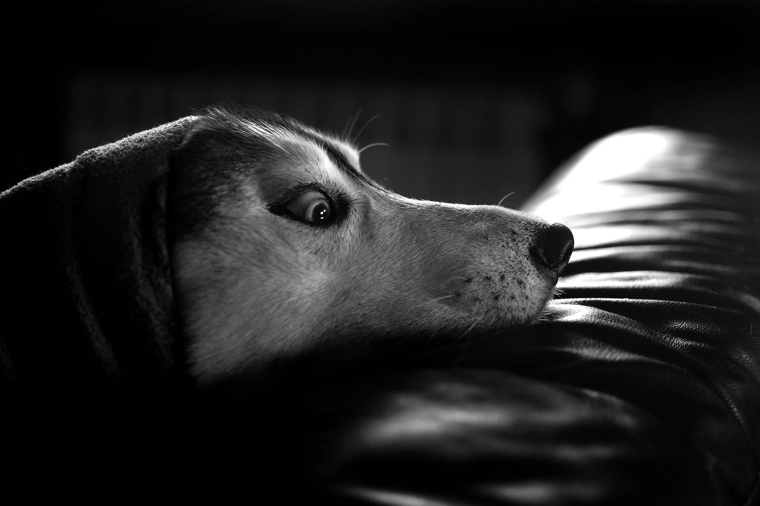 Не выходи из комнаты. Не вылезай из-под одеяла.