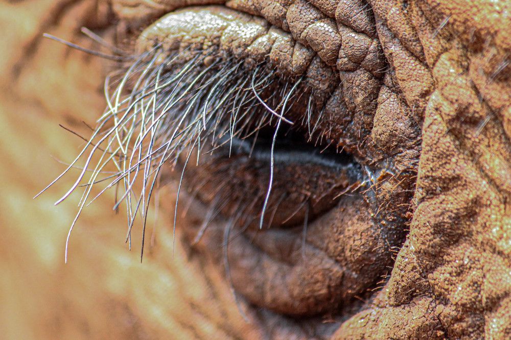 Photograph by Ramki Ramesh