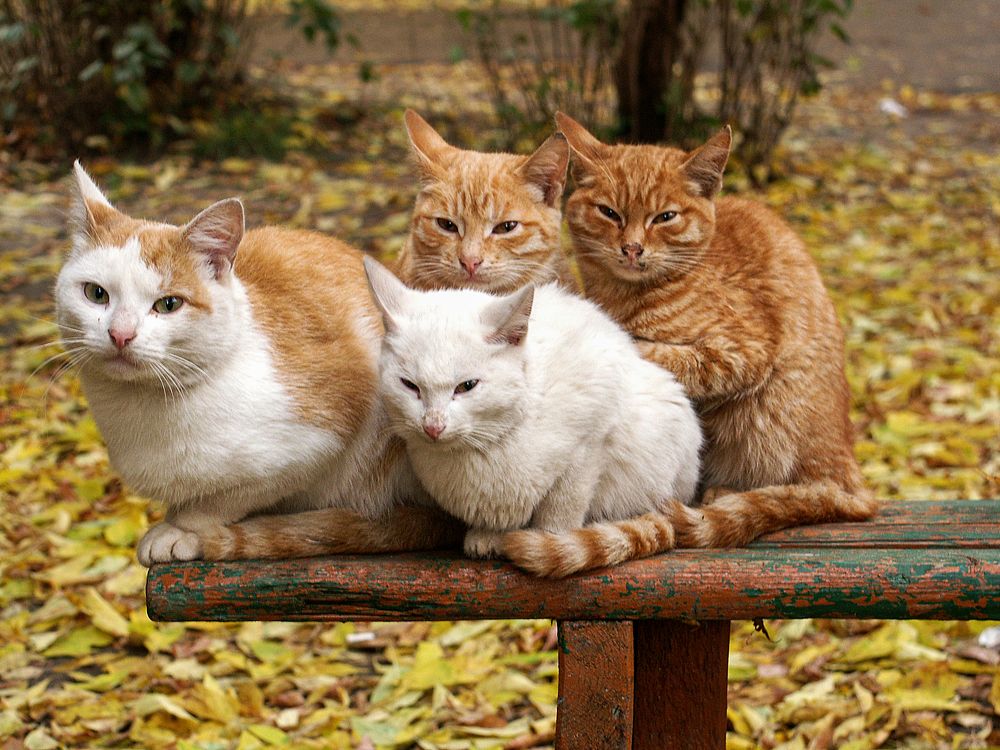 Photograph by Людмила Александровна