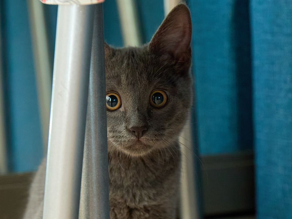 Photograph by Роман Гудзь