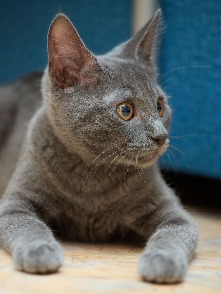 Photograph by Роман Гудзь