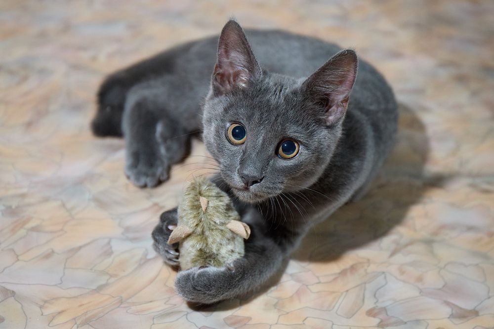 Photograph by Роман Гудзь