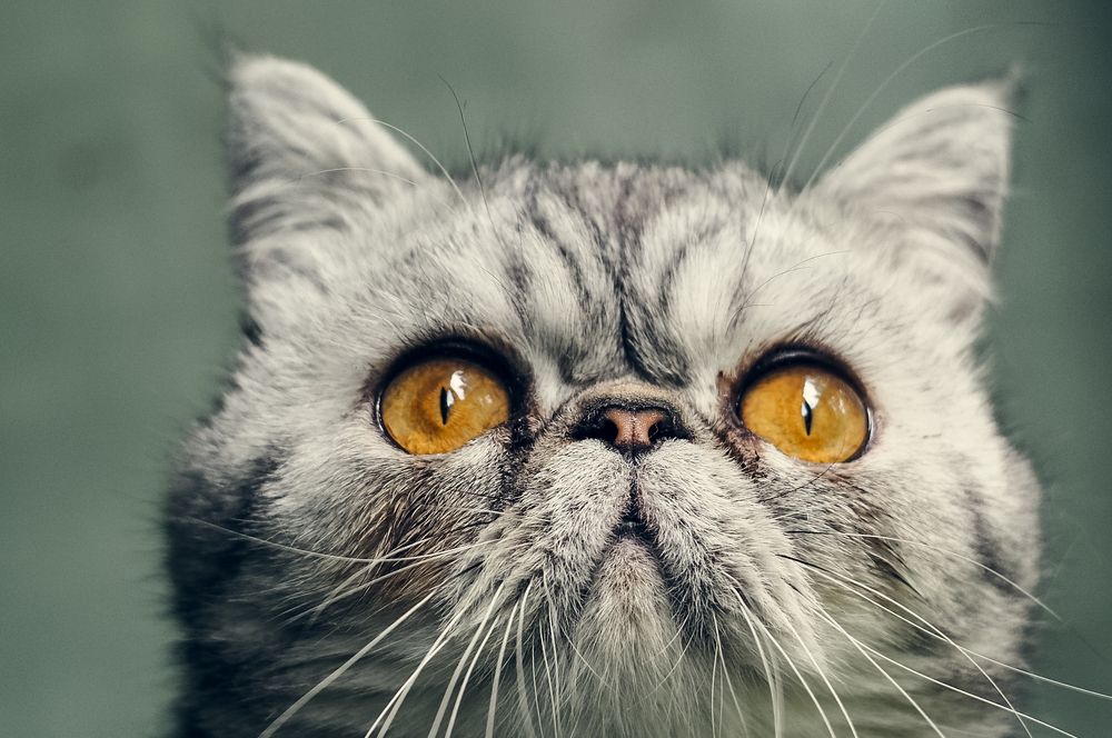 Photograph by Татьяна Шевченко