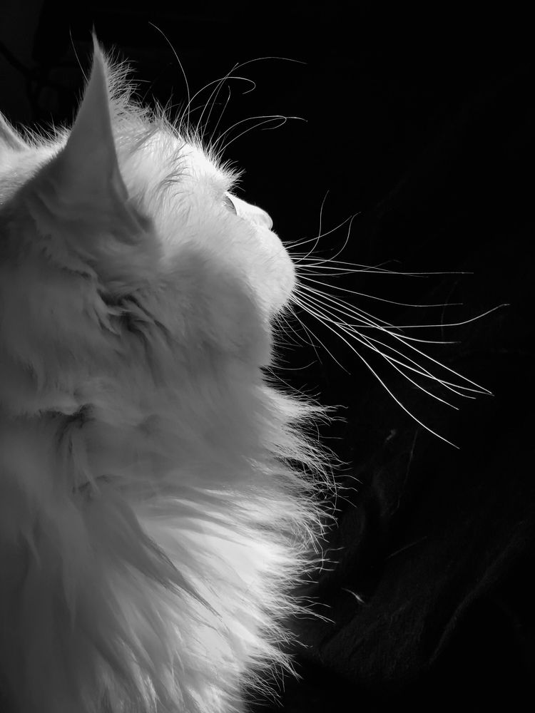 Photograph by Людмила Евстратова