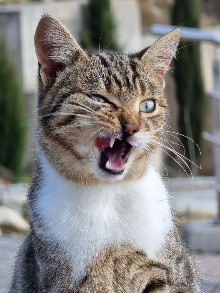 Photograph by George Pavlov