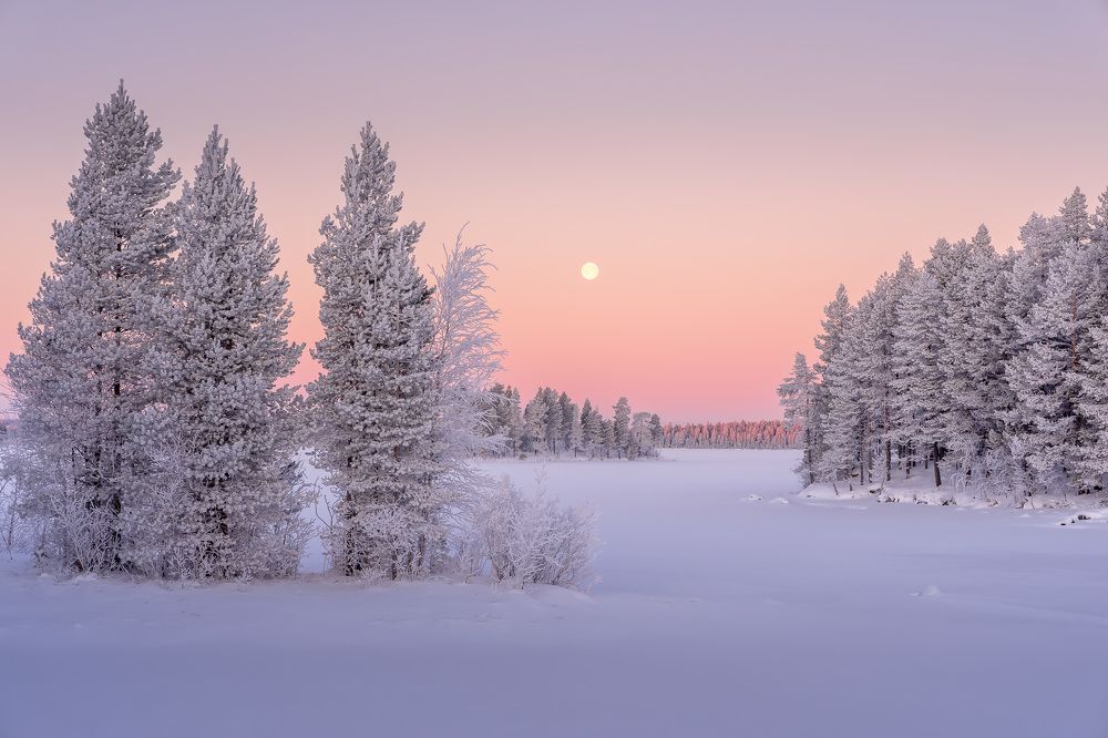 Photograph by Илья Труханов