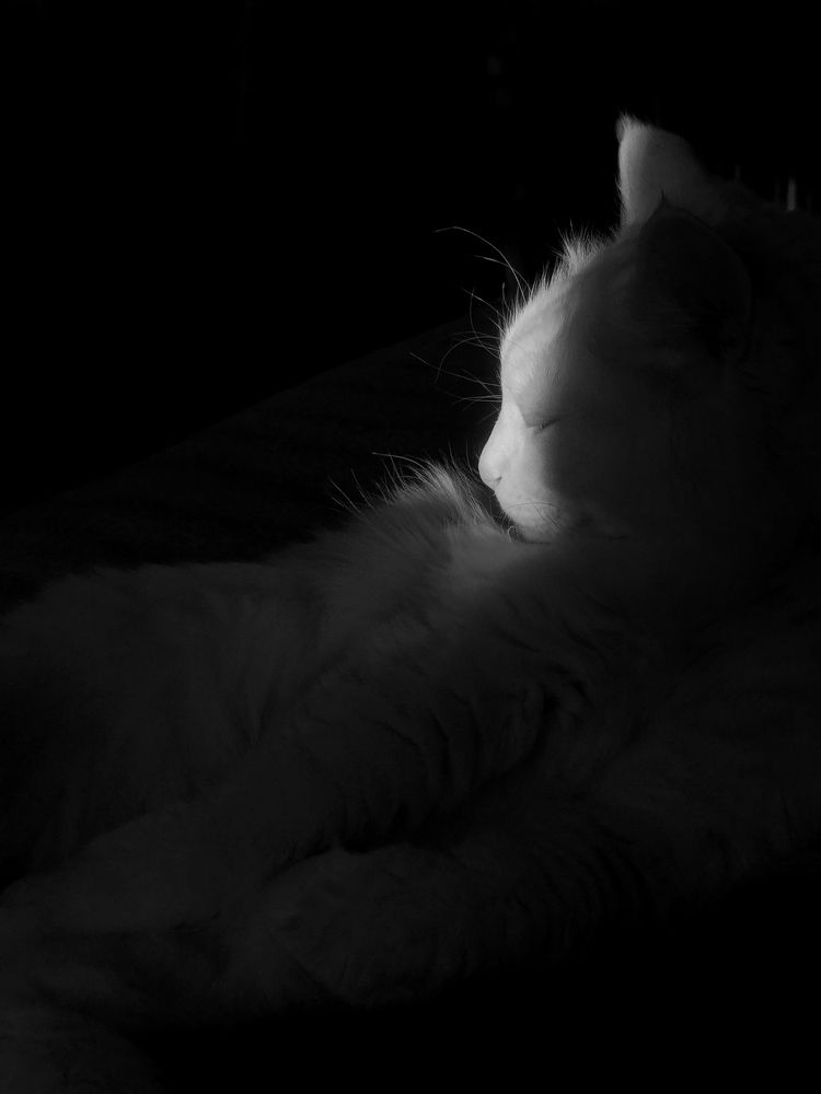 Photograph by Людмила Евстратова